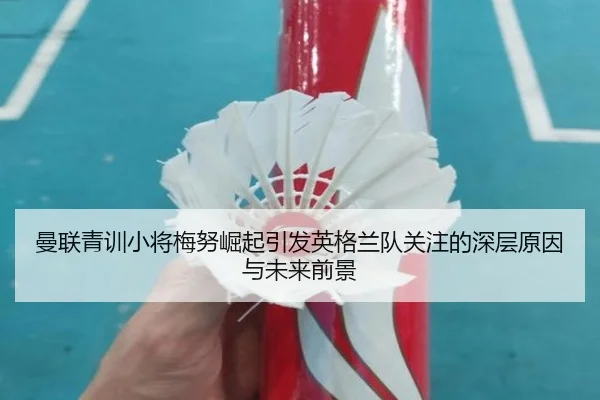 曼联青训小将梅努崛起引发英格兰队关注的深层原因与未来前景